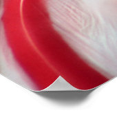 Pek een Boo, S Cyr Poster (Hoek)