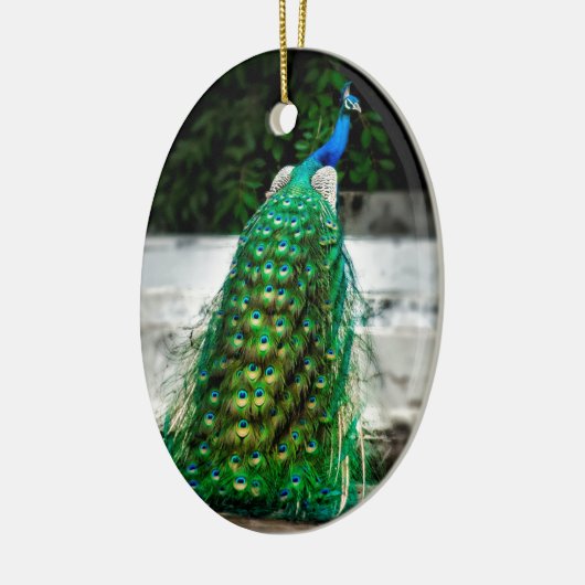 pekelkleurige vederkunstkleuren keramisch ornament (Links)