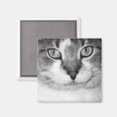 pekelmagneet magneet (Voorkant / Achterkant)