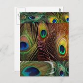 pekelvedercollage briefkaart (Voorkant / Achterkant)