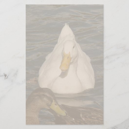 Pekin Duck Birds Stationery Briefpapier (Voorkant)