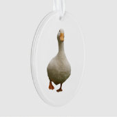 Pekin Duck Orament (devant)