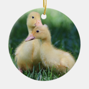 Pekin Ducklings Keramisch Ornament