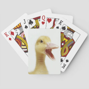 Pekin eend kuiken, close-up van de kop speelkaarten
