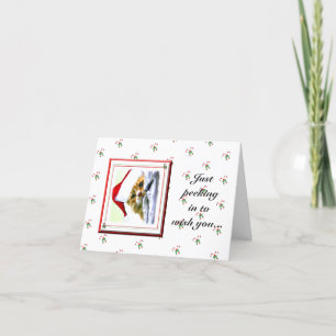 Pékin en Noël Chat Carte de vacances