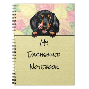 Pékin mignon carnet Dachshund