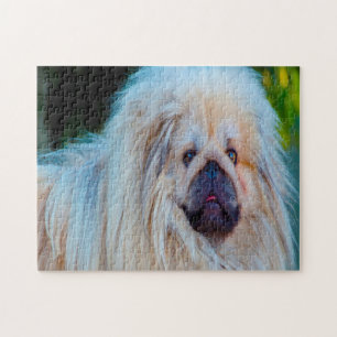 Pekinese Dog. Legpuzzel