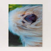 Pekinese hond. legpuzzel (Verticaal)