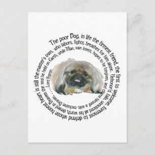Pekinese Wijsheid - en Lord Byrons Klaaglied Briefkaart