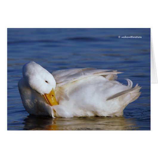 Peking Duck glimlacht een Mona Lisa-glimlach in de (Voorkant Horizontaal)