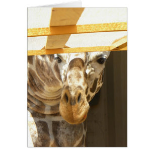 Peking giraffe-kaart