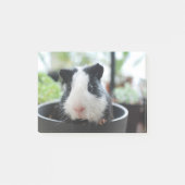 Peking Guinea Pig Post-it® Notes (Voorkant)