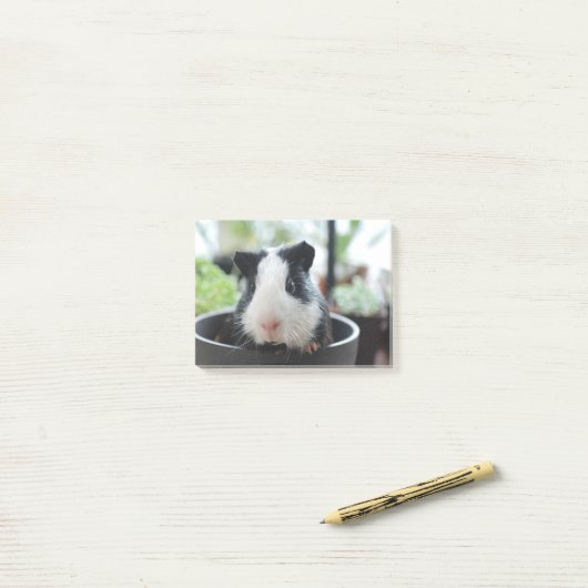 Peking Guinea Pig Post-it® Notes (Op bureau)