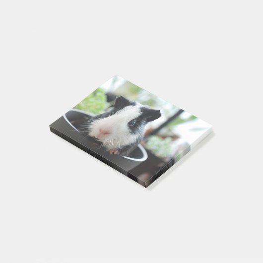 Peking Guinea Pig Post-it® Notes (Schuin)