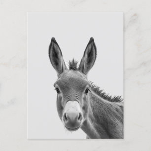 Peking Sneaky Donkey Cute Briefkaart