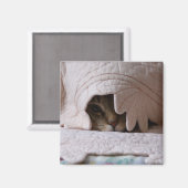 Peking Tom magneet (Voorkant / Achterkant)