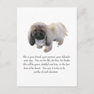 Pekingees Aandenken - VROUW Briefkaart