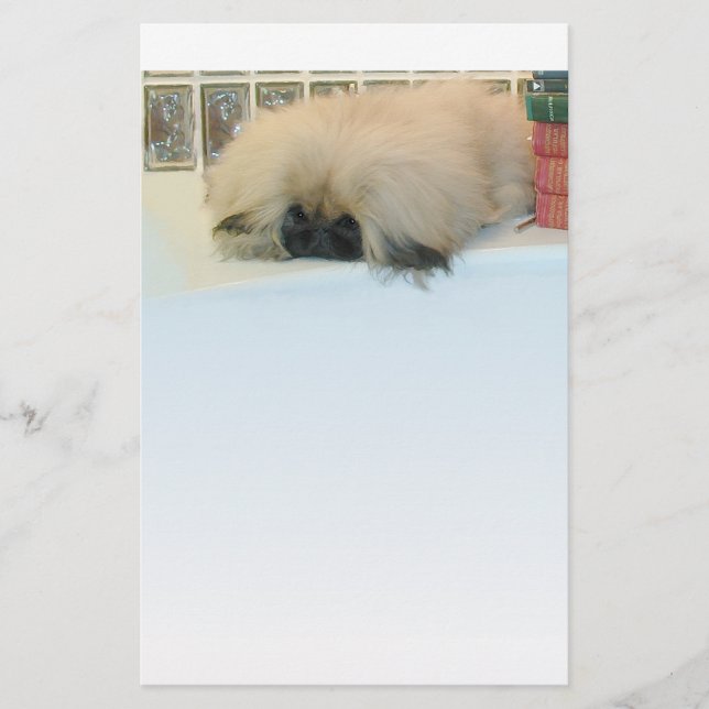 Pekingees Droomt Groot (Voorkant)