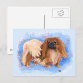 Pekingees Echte Blauwe Briefkaart (Voorkant / Achterkant)