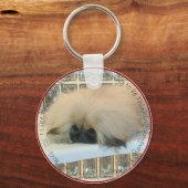 Pekingees Groot Denken Sleutelhanger (Voorkant)