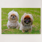 Pekingees hond. legpuzzel (Horizontaal)