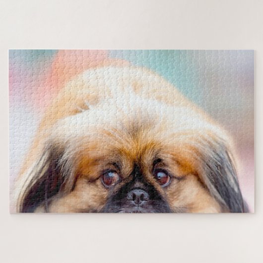 Pekingees hond. legpuzzel (Horizontaal)