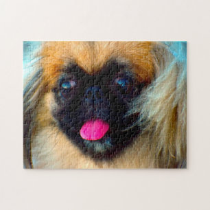 Pekingees hond. legpuzzel