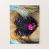 Pekingees hond. legpuzzel (Verticaal)