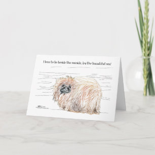 Pekingees Honden Opmerkingen Feestdagen Kaart