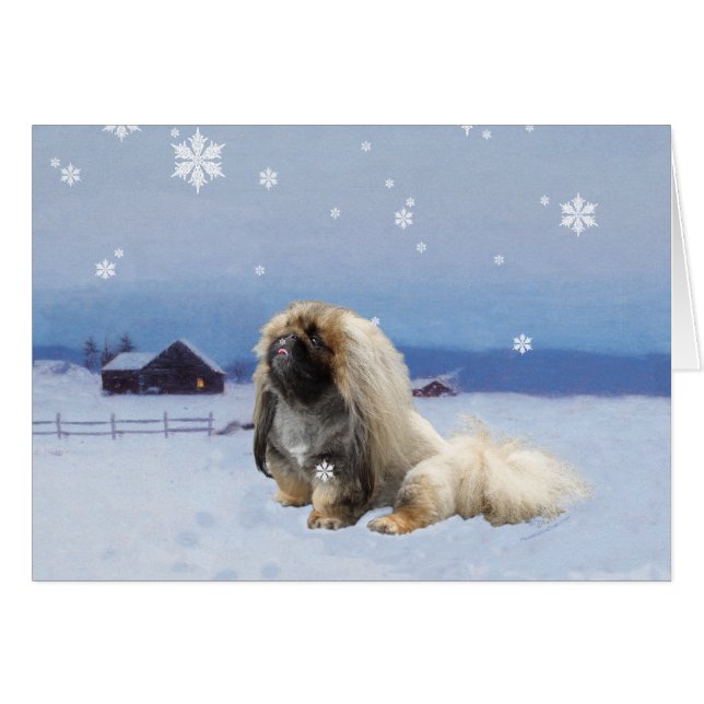 Pekingees in de Winter (Voorkant Horizontaal)