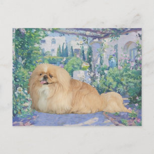 Pekingees in lavendel briefkaart