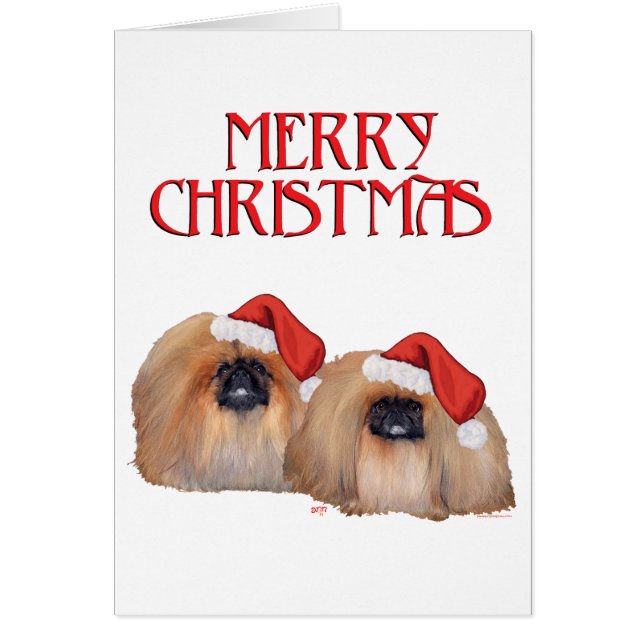 Pekingees Kerstmis (Voorkant)
