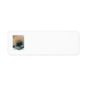 Pekingees Retouradreslabels Etiket