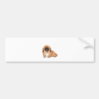 Pekingees (rood, zwart masker #1) bumpersticker