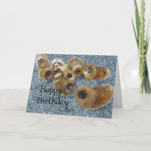 Pekingees Verjaardagskaart Kaart
