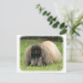 Pekingese 9Y218D-016 Briefkaart (Staand voorkant)