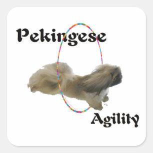 Pekingese Agility Vierkante Sticker