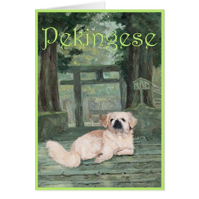 Pekingese bij Oriental Gateway (Voorkant)