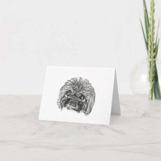 Pekingese blanco briefkaarten (Voorkant)