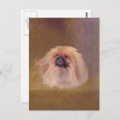  Pekingese Briefkaart (Voorkant / Achterkant)