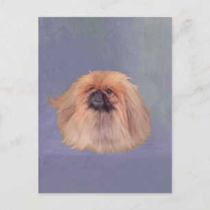  Pekingese Briefkaart