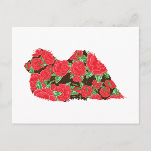 Pekingese Briefkaart (Voorkant)