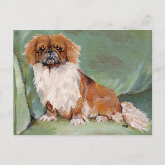 Pekingese Briefkaart (Voorkant)