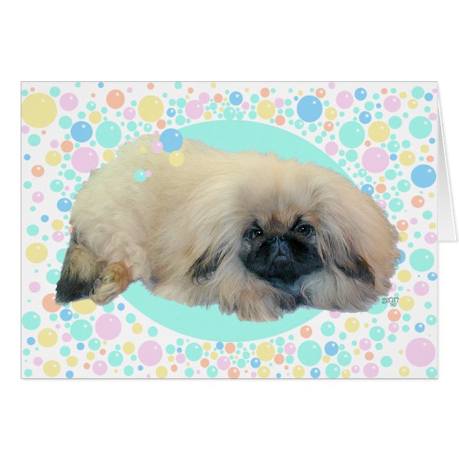 Pekingese Bubbel Geluk (Voorkant Horizontaal)