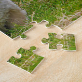 Pekingese Dog. Legpuzzel (Zijkant)