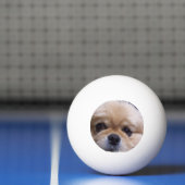 Pekingese Dog Pingpongballen (Net)
