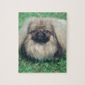 Pekingese Dog Puzzle Legpuzzel (Verticaal)