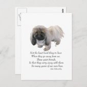 Pekingese Dog Rainbow Bridge Briefkaart (Voorkant / Achterkant)