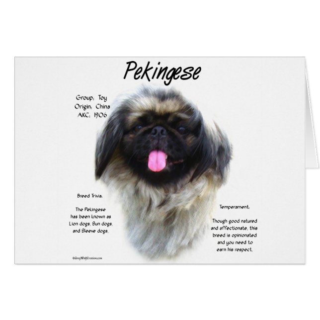 Pekingese Geschiedenis Ontwerp (Voorkant Horizontaal)