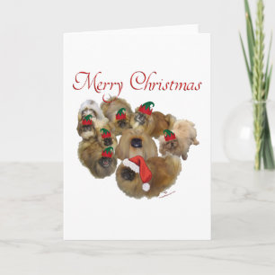 Pekingese Groep Kerstmis Feestdagen Kaart